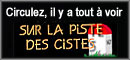 Sur la piste des cistes