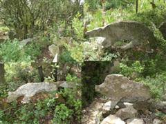 Une for�t enchant�e qui garde un secret