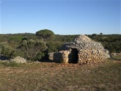 Superbe capitelle en garrigue