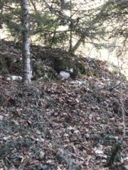 Indice : la cache
