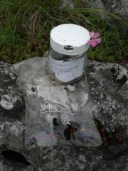 Une ciste attaqu�e par des rats