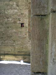 Au milieu des vieilles pierres