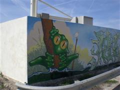 Oh la belle grenouille