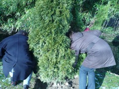 Un cisteur, �a cherche
